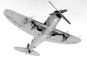 MiniArt 48001 1/48 P-47D 25RE Thunderbolt Advanced Model Kit