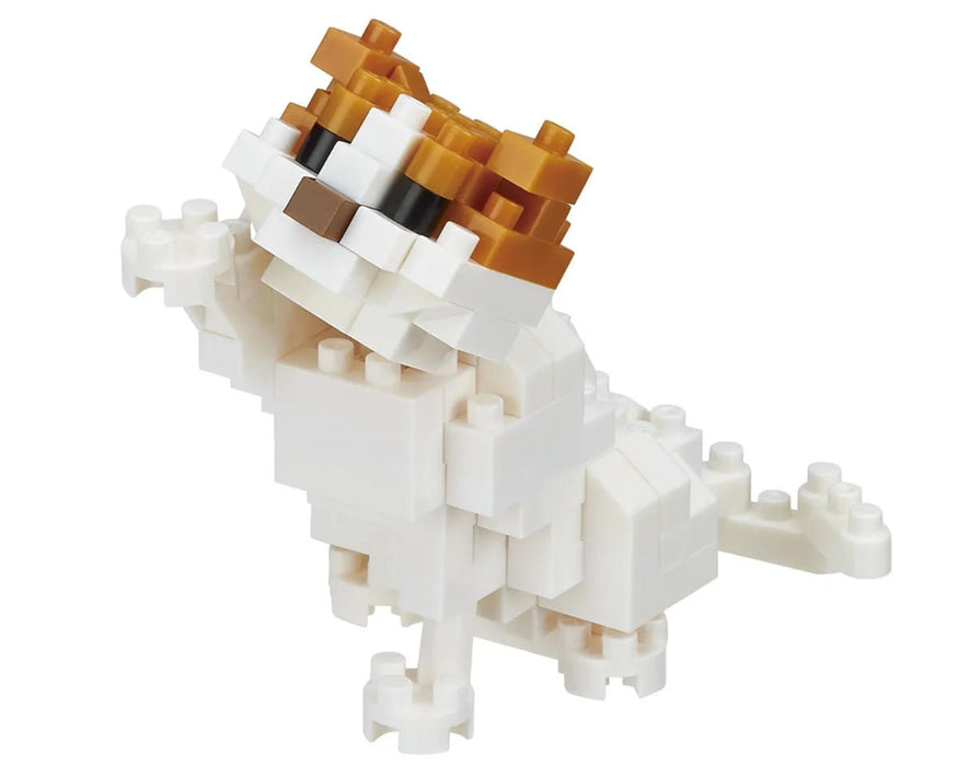 Nanoblock 21083 Collection Series Cat Breed Scottish Fold "Cats"