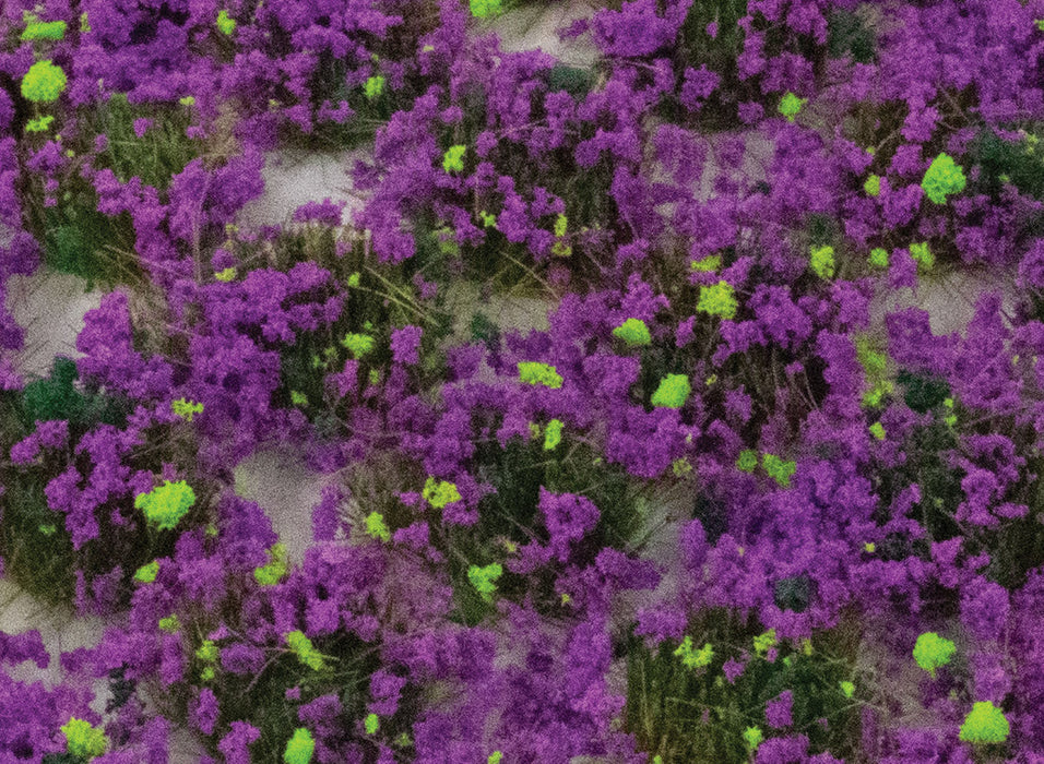 Peco / WWSCENICS Heather Static Grass Tufts (100 Pack)