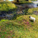 Peco / WWSCENICS WSPG-037 Pro Grass Layering System Starter Kit