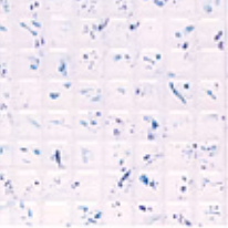 Plastruct Model Parts 91542 PS-42 Square Tiles, 3/16" (2 Pack)