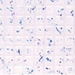 Plastruct Model Parts 91542 PS-42 Square Tiles, 3/16" (2 Pack)