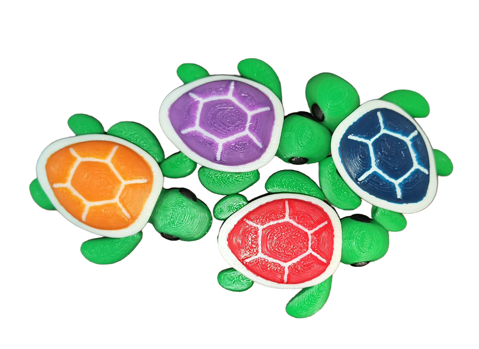 PYE 3D PYE PALS XL Turtle (1 Chosen at Random)