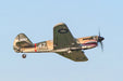 Rage RC A1305 Curtiss P-40 Warhawk Micro RTF Airplane with PASS (Pilot Assist Stability Software) System