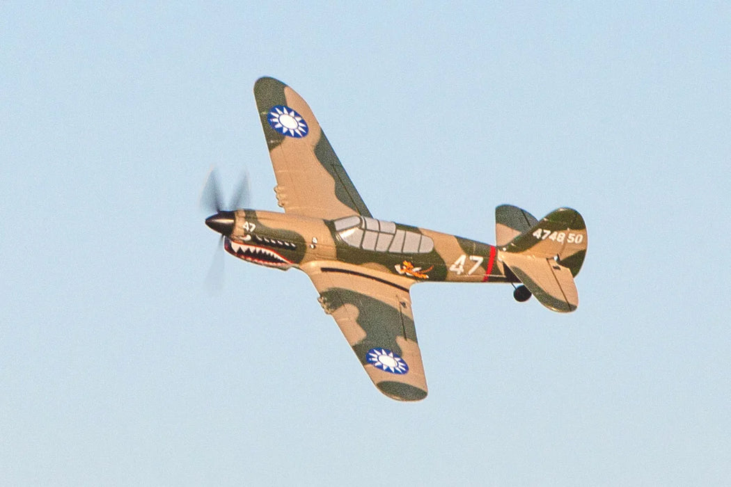 Rage RC A1305 Curtiss P-40 Warhawk Micro RTF Airplane with PASS (Pilot Assist Stability Software) System