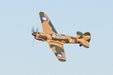 Rage RC A1305 Curtiss P-40 Warhawk Micro RTF Airplane with PASS (Pilot Assist Stability Software) System