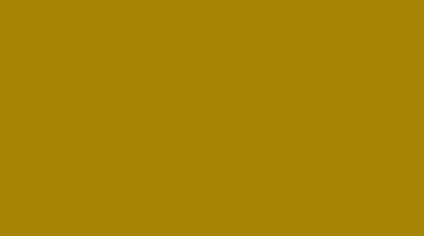 Rapido ProtoPaint 330014 Canadian National CN Imitation Gold