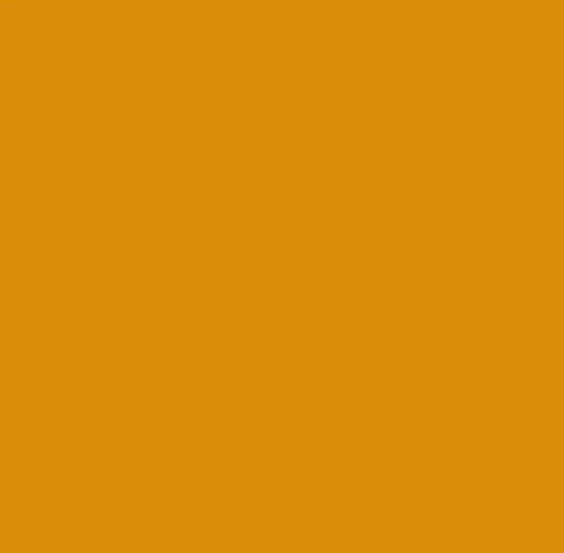 Rapido ProtoPaint 330041 British Columbia Railway BCR Yellow