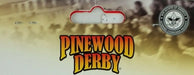 Revell 9458 BSA Pinewood Derby Peel & Stick Decals Super Hero Assortment