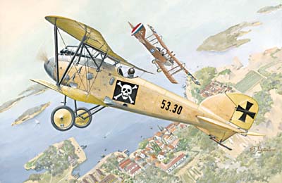 Roden Models 022 1/72 Albatros D.III Oeffag s. 53.2 Julius Arigi Model Aircraft Kit