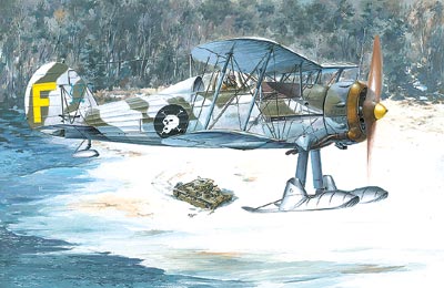 Roden Models 401 1/48 Gloster Gladiator Mk.II Bi-Plane Model Aircraft Kit