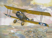 Roden Models 404 1/48 Sopwith 1 1/2 Strutter WWI Bomber Model Aircraft Kit