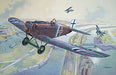 Roden Models 434 1/48 Junkers D.I WWI Short-Fuselage Version Model Aircraft Kit