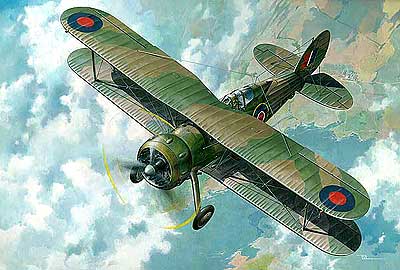 Roden Models 438 1/48 Gloster Gladiator Mk.I/Mk.II/J-8 Meteo Recon Model Aircraft Kit