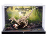 ROKR LD01Z Velociraptor World of Dinosaurs Jurassic Period Display Case