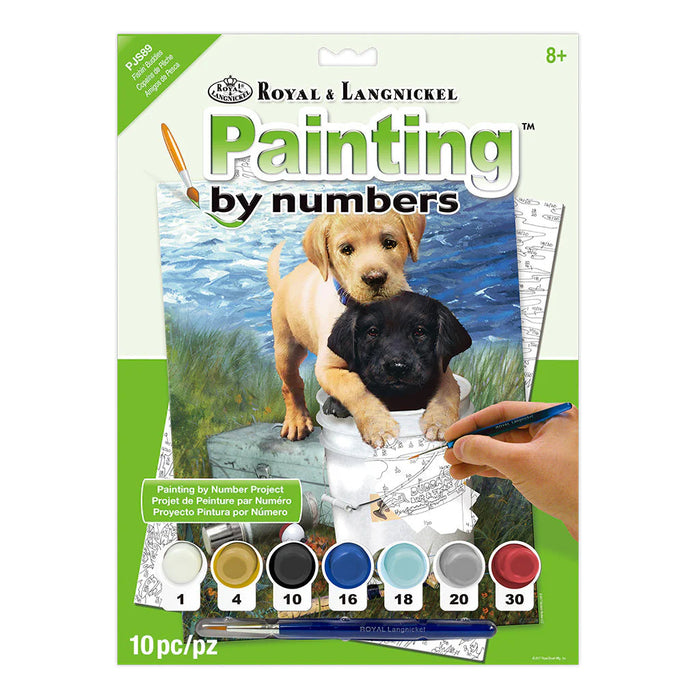 Royal & Langnickel 37395 Fishin Buddies (Puppies) Paint by Number (8.75"x11.75")