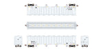ScaleTrains Rivet 39456 HO Scale PS 5820 Covered Hopper Entec Polymers RDIX 20027
