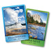 Springbok 91-76044 National Parks Playing Cards (2 Packs)