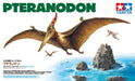 Tamiya 60204 1/35 Pteranodon Dinosaur Model Kit