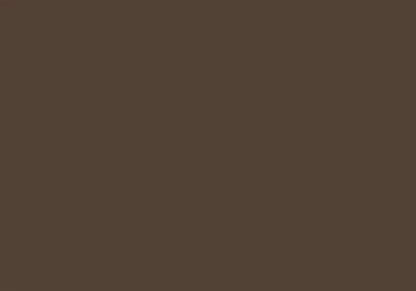 Tamiya 82154 LP-54 Mini Lacquer Paint 10ml - Dark Iron