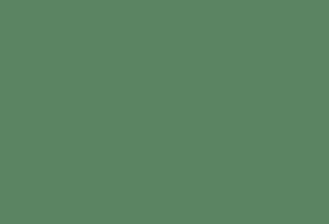 Tamiya 82156 LP-56 Mini Lacquer Paint 10ml - Dark Green 2