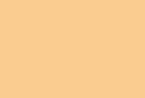 Tamiya 82166 LP-66 Mini Lacquer Paint 10ml - Flat Flesh
