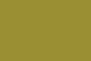 Tamiya 82173 LP-73 Mini Lacquer Paint 10ml - Khaki