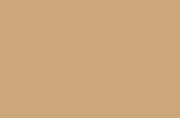 Tamiya 82175 LP-75 Mini Lacquer Paint 10ml - Buff