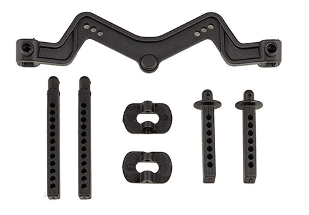 Team Associated 71066 DR10 Body Mount and Post