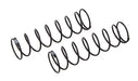 Team Associated 71165 RC10T6.2, RC10SC6.2 Gray 13mm Rear Springs 2.55 lb/in L72 8.75T 1.2D