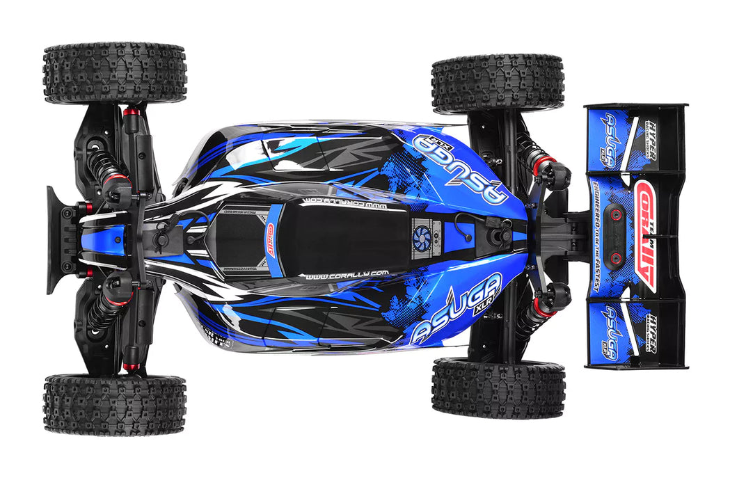 Team Corally C-00288-B Blue Asuga XLR 6S Racing Buggy RTR