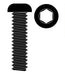 Team Corally C-3003-30-16 Steel M3 x 16mm Hex Button Head Screws (10 Pack)