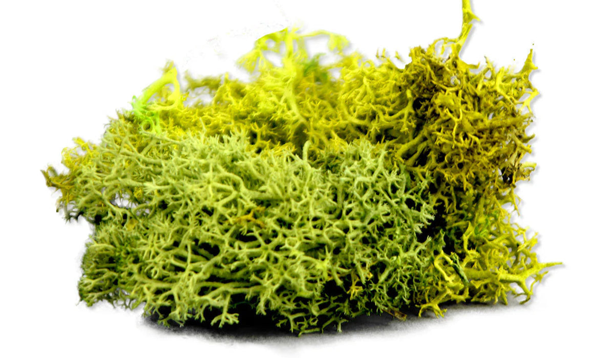 The Army Painter BF4116P Battlefield: Basing Summer Undergrowth 150ml