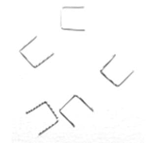 TTG3021