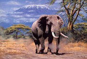 Tomax 100-119 Elephant In Amboseli 1000 Piece Puzzle