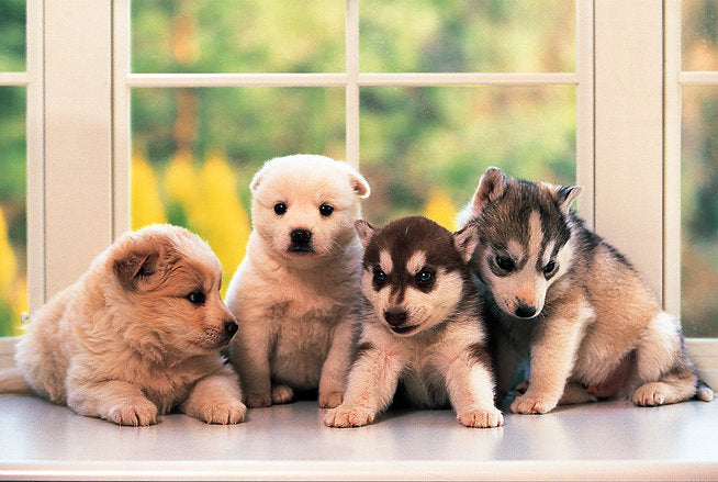 Tomax 100-135 Little Doggies 1000 Piece Puzzle