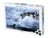 Tomax 100-181 Penguins Puzzle 1000 Piece Puzzle