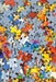 Tomax 100-283 Colorful 1000 Piece Puzzle