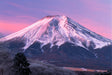 Tomax 100-330 Mount Fuji Japan 1000 Piece Puzzle (Glow In The Dark)