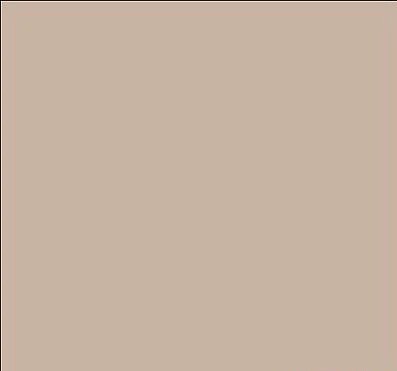 Tru-Color 1112 UN Deck Tan 1oz Acrylic Model Paint