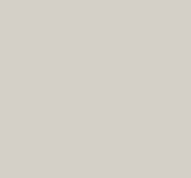 Tru-Color 1278 FS36622 IAF Gray 1 oz. Acrylic Model Paint