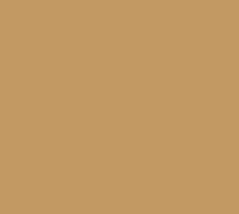 Tru-Color 1322 FS30400 Sand Solvent Based Acrylic Paint 1oz