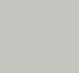 Tru-Color 1329 FS26492 LIHJT Gray Solvent Based Acrylic Paint 1oz