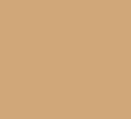 Tru-Color 1332 FS20400 Tan Solvent Based Acrylic Paint 1oz