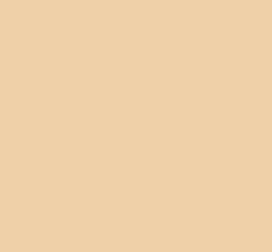 Tru-Color 1375 FS33613 Radome Tan Solvent Based Acrylic Paint 1oz