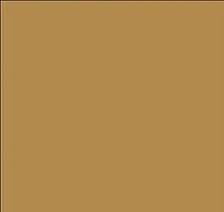 Tru-Color 1420 FS33448 Desert Dark Yellow Uniforms Solvent Based Acrylic Paint 1oz