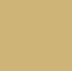 Tru-Color 1421 FS33445 Deck Tan Solvent Based Acrylic Paint 1oz