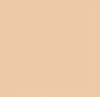 Tru-Color 1426 FS30279 Desert Sand Solvent Based Acrylic Paint 1oz