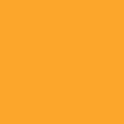 Tru-Color 309 Florida East Coast - FEC Yellow, 1 oz. Acrylic Model Paint