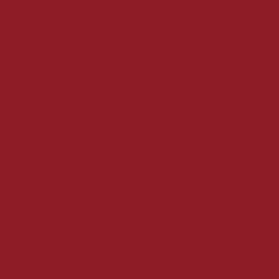 Tru-Color 357 Burnt Iron 1 oz. Acrylic Model Paint